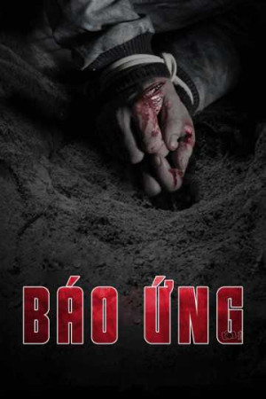 Báo Ứng Báo Ứng