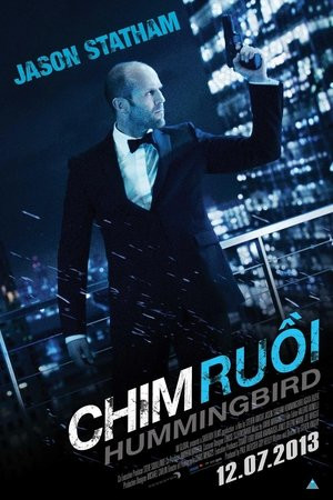 Chim Ruồi Chim Ruồi