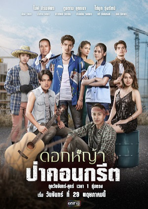 Hoa Dại Giữa Thành Phố Hoa Dại Giữa Thành Phố